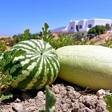 Relaxia Estate Naxos Apartment Galini  Bagian luar foto