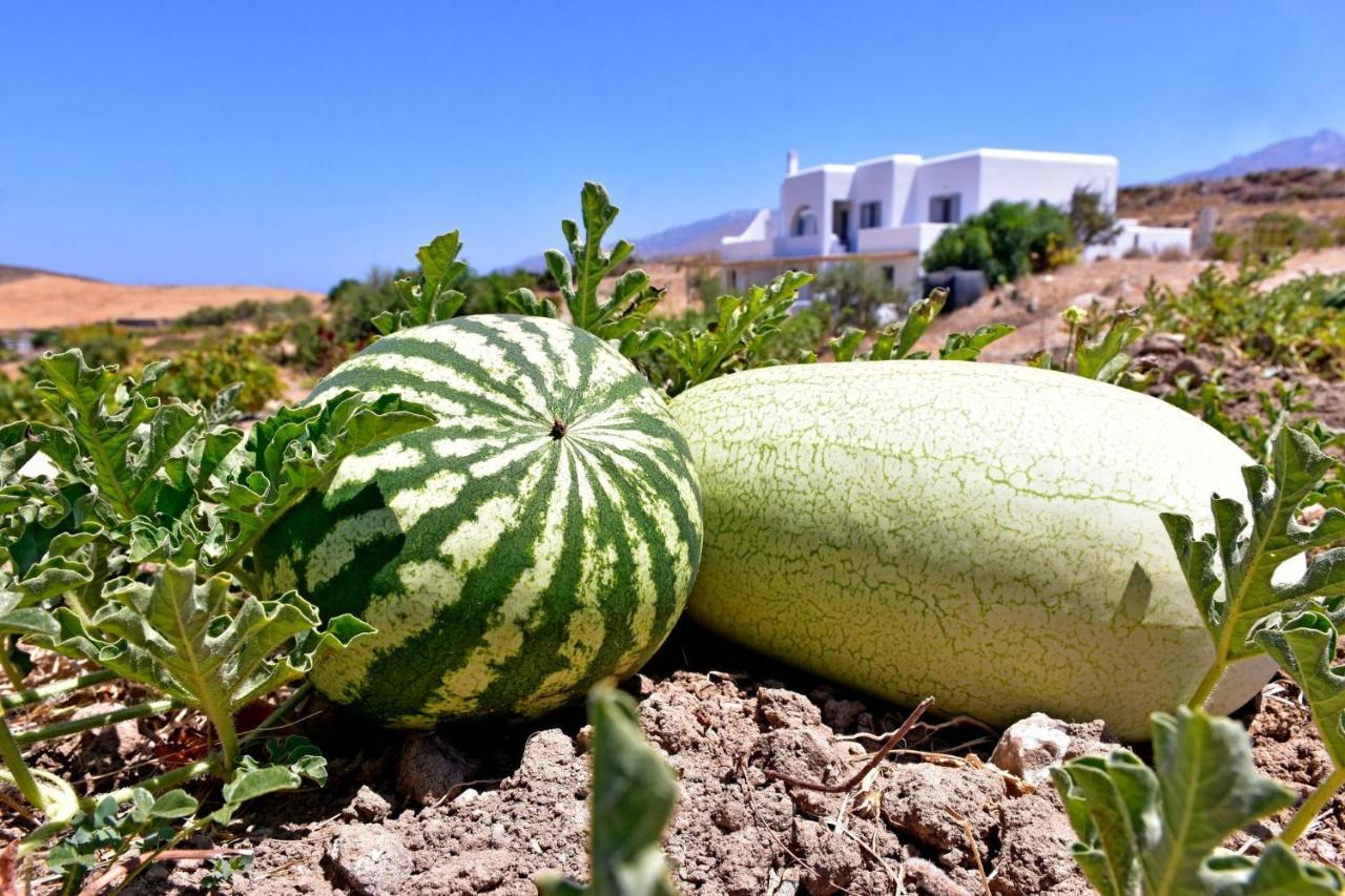 Relaxia Estate Naxos Apartment Galini  Bagian luar foto