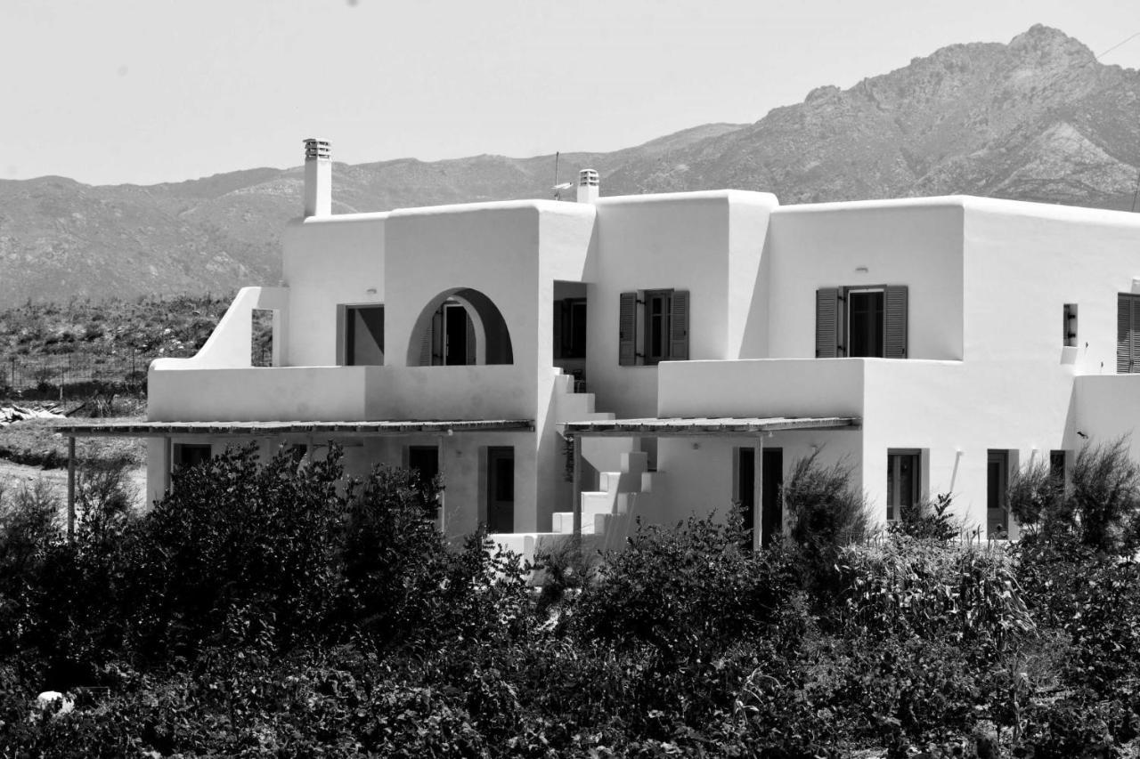 Relaxia Estate Naxos Apartment Galini  Bagian luar foto