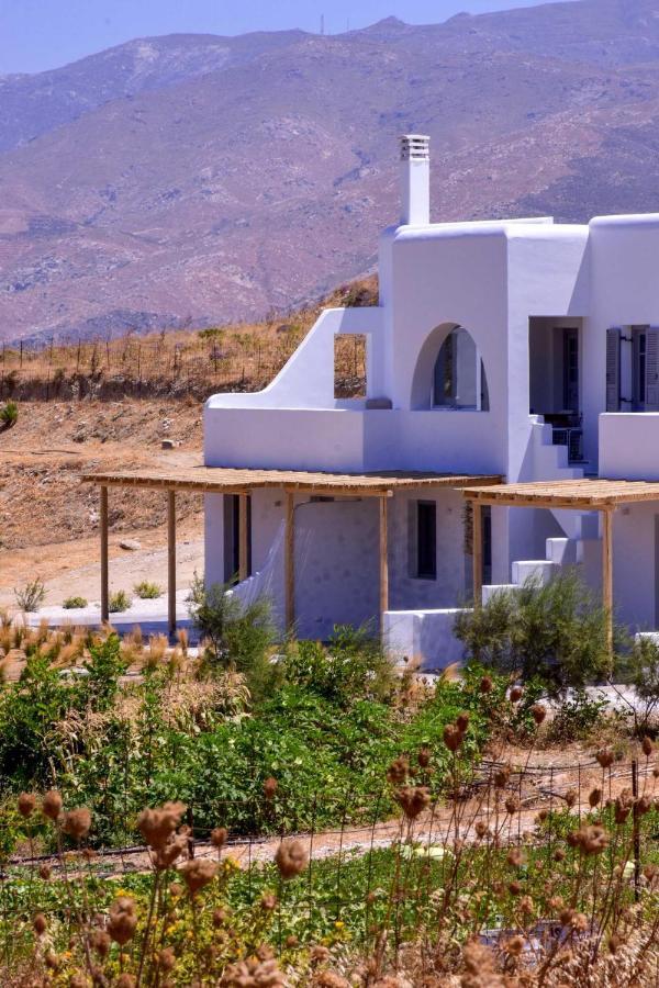 Relaxia Estate Naxos Apartment Galini  Bagian luar foto